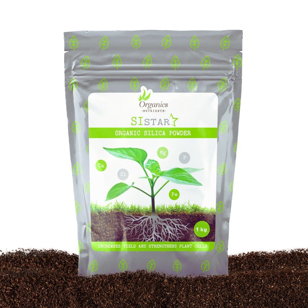 si star je organski izboljševalec tal, ki vsebuje veliko minerala silicija za zdrave plodove