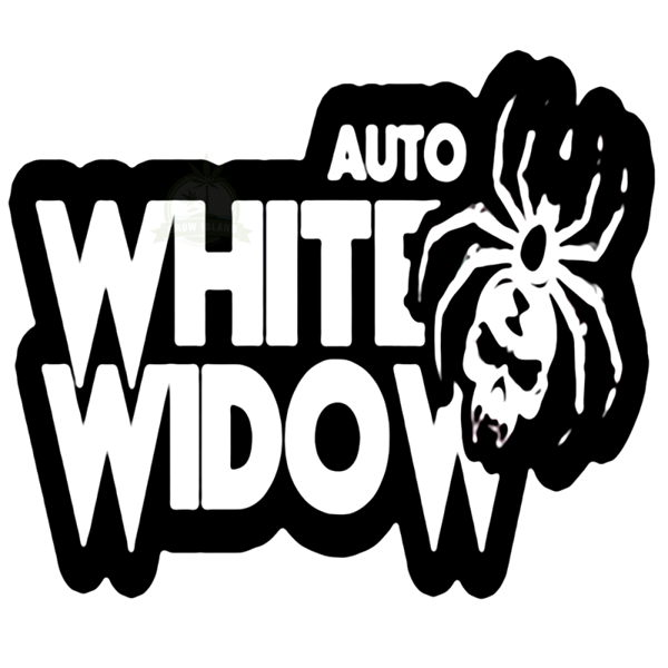 Original Auto White Widow