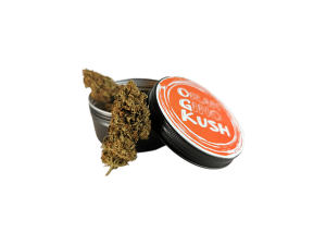 Oran Gino Kush
