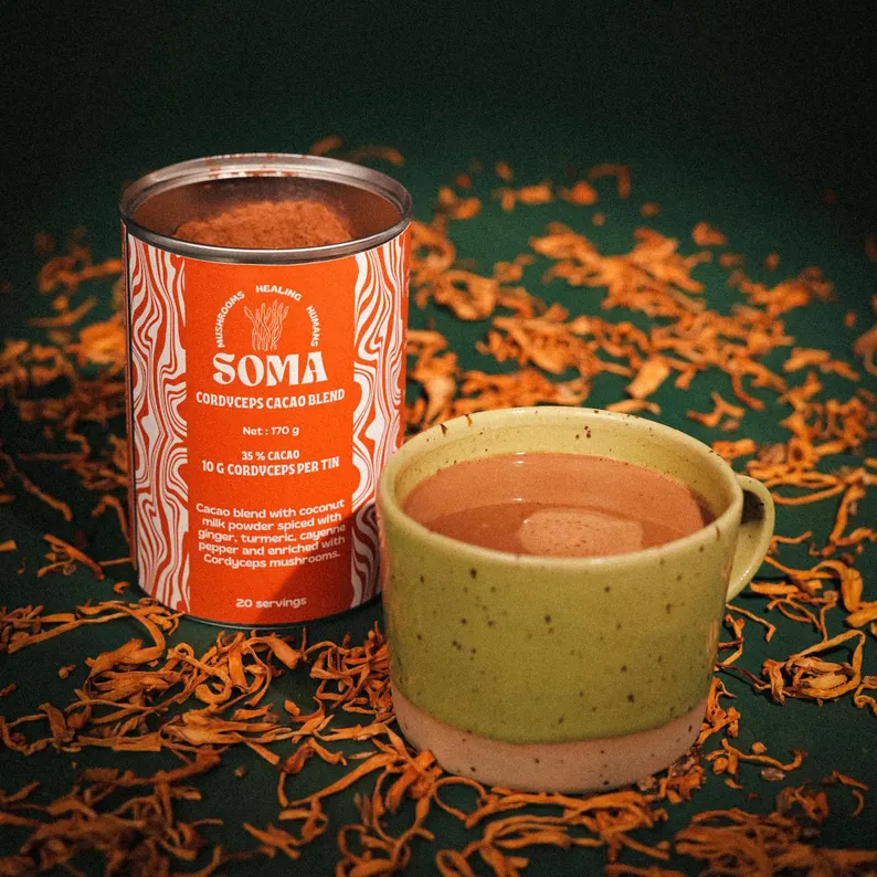Cordyceps Cacao Blend Goba-kakavova superhrana s kordicepsom