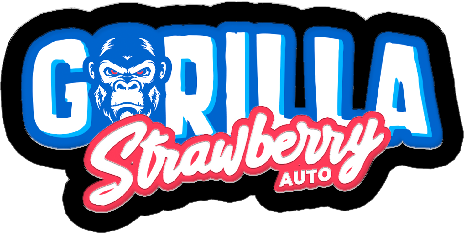 strawberry gorilla autoflower winning genetics