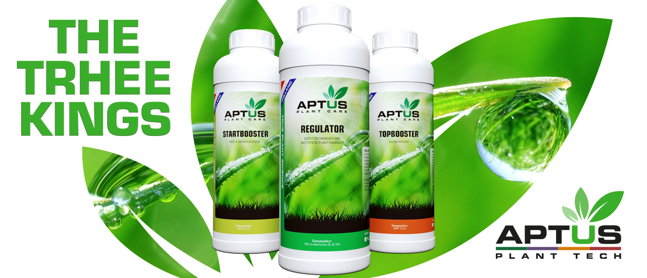 Aptus grow professional